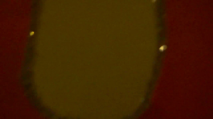 Demi  -  Sheraton Barra (1170)
