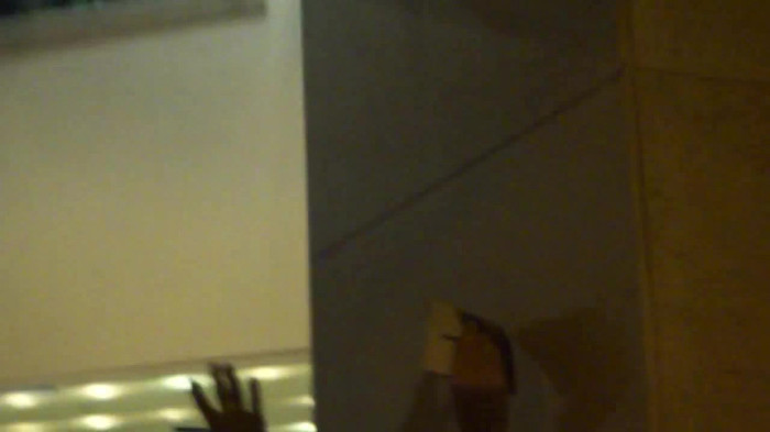 Demi  -  Sheraton Barra (1304)