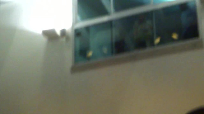 Demi  -  Sheraton Barra (1385) - Demi - She Welcomes Fans From Hotel Balcony Part oo2