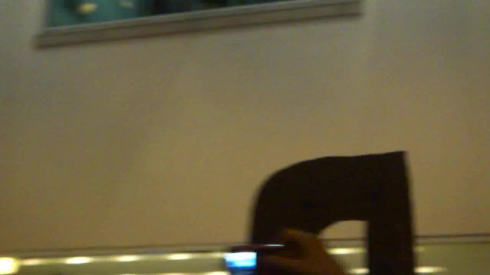 Demi  -  Sheraton Barra (1402)