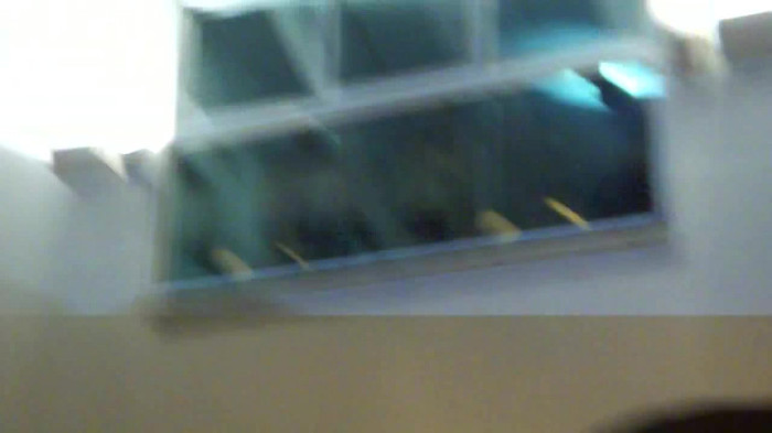 Demi  -  Sheraton Barra (1444) - Demi - She Welcomes Fans From Hotel Balcony Part oo2