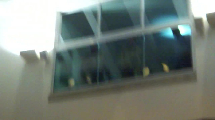 Demi  -  Sheraton Barra (1445) - Demi - She Welcomes Fans From Hotel Balcony Part oo2