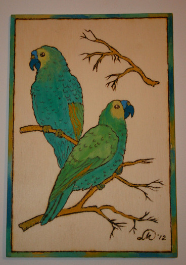 hoby 1; el si ea - doi papagali
