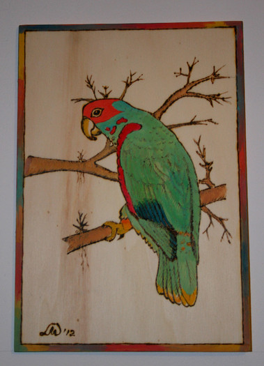 hoby 2; papagal solitar
