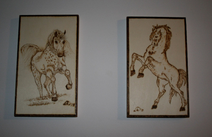 hoby 7; caii - preferatii mei
