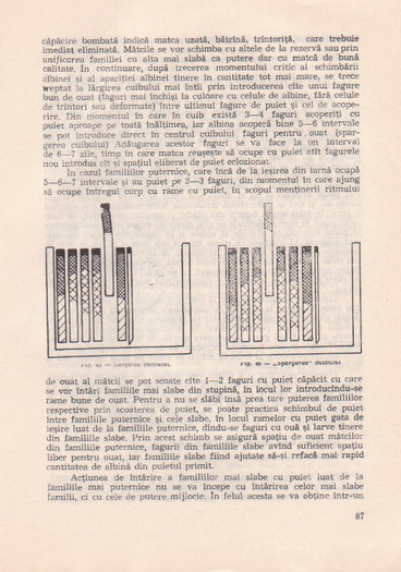 p141 086 - MANUALUL APICULTORULUI