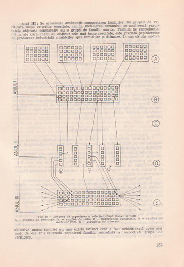 p141 136