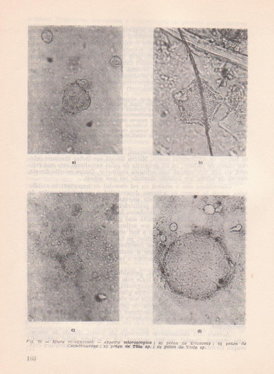p141 165 - MANUALUL APICULTORULUI