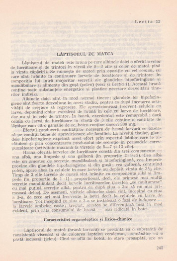 p141 244 - MANUALUL APICULTORULUI