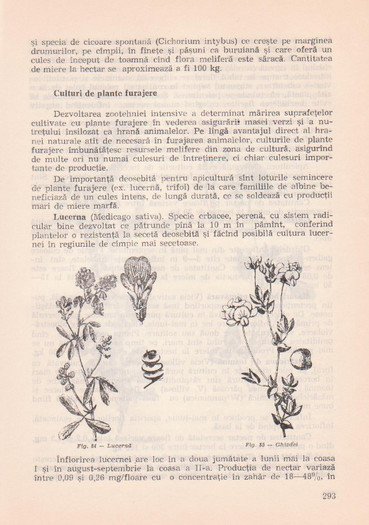 p141 292