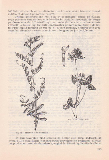 p141 294