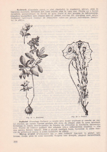 p141 307