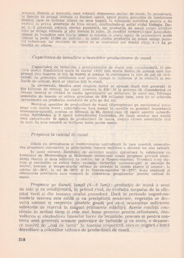 p141 317