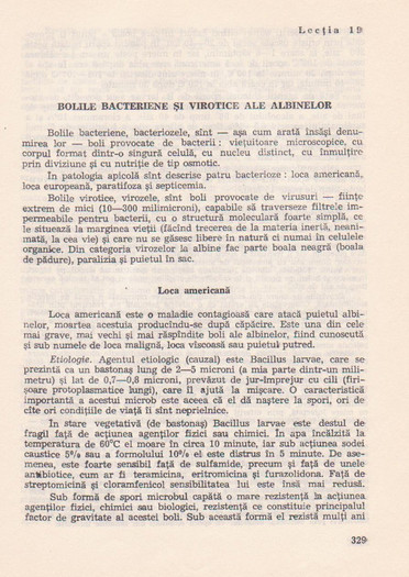 p141 328