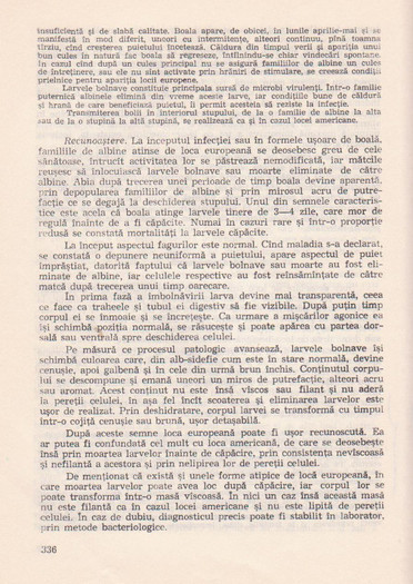 p141 335 - MANUALUL APICULTORULUI