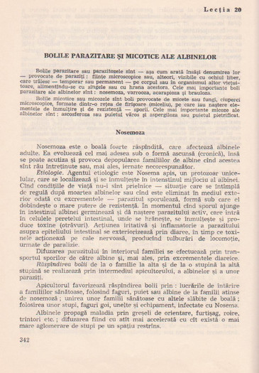 p141 341 - MANUALUL APICULTORULUI