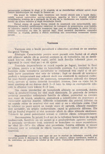 p141 345 - MANUALUL APICULTORULUI