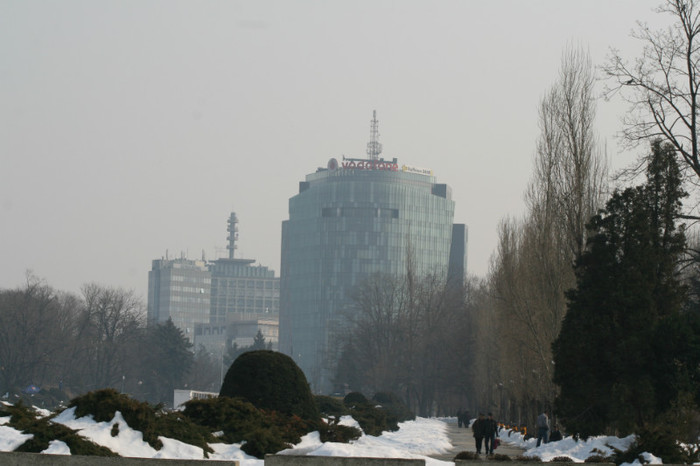 IMG_9170 - 2012 martie 10 - O plimbare prin parc si Cupa Rugby