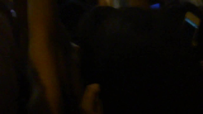 Demi  -  Sheraton Barra (1666) Demi  -  Sheraton Barra (1666)