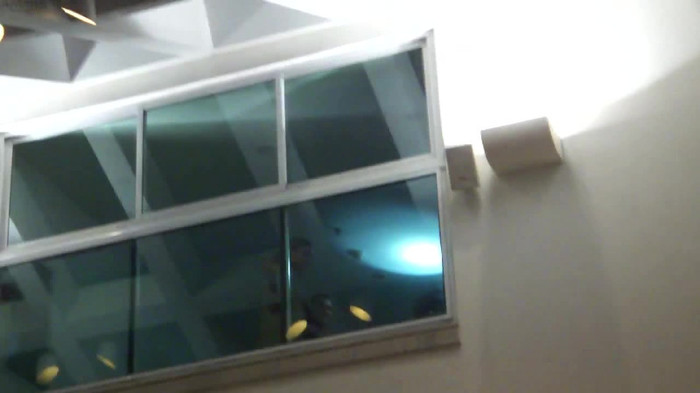 Demi  -  Sheraton Barra (1811) - Demi - She Welcomes Fans From Hotel Balcony Part oo3