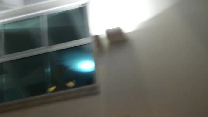 Demi  -  Sheraton Barra (1837) - Demi - She Welcomes Fans From Hotel Balcony Part oo3