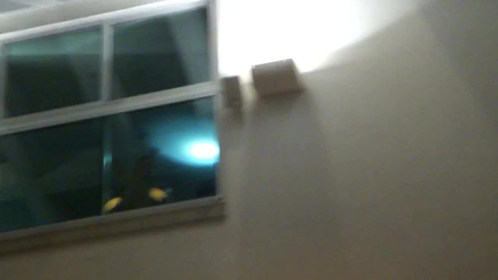 Demi  -  Sheraton Barra (1853) - Demi - She Welcomes Fans From Hotel Balcony Part oo3