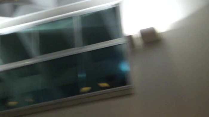 Demi  -  Sheraton Barra (1889) - Demi - She Welcomes Fans From Hotel Balcony Part oo3