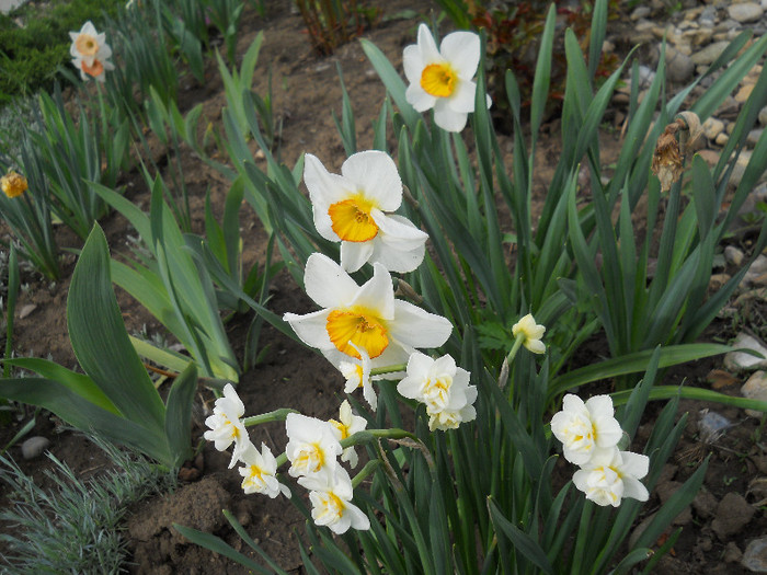 DSCN2606