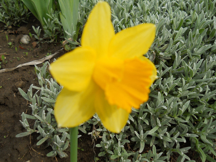 DSCN2611