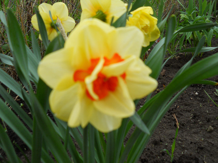 DSCN2640