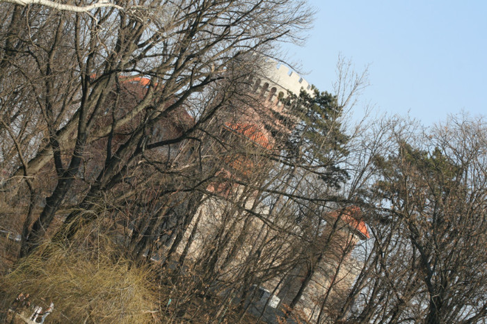 IMG_9410