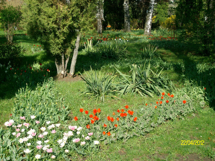 SANY1718 - Gradina Botanica Iasi 2012