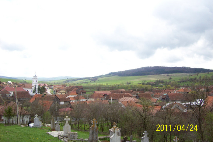 100_3829 VEDERE DIN CIMITIR .