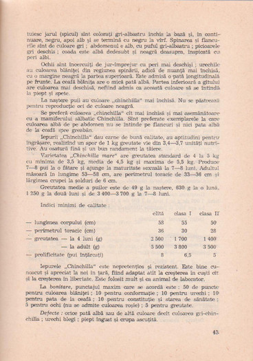 p141 051 - IEPURELE DE CASA - CRESTERE SI VALORIFICARE