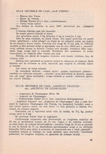 p141 053 - IEPURELE DE CASA - CRESTERE SI VALORIFICARE