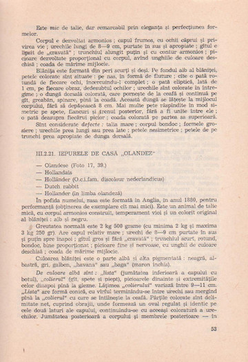 p141 061 - IEPURELE DE CASA - CRESTERE SI VALORIFICARE