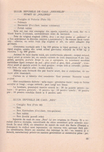 p141 063 - IEPURELE DE CASA - CRESTERE SI VALORIFICARE