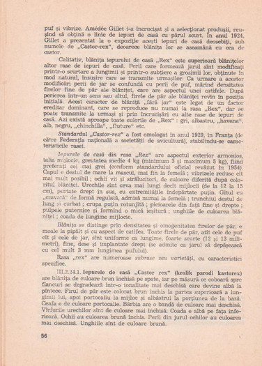 p141 064 - IEPURELE DE CASA - CRESTERE SI VALORIFICARE