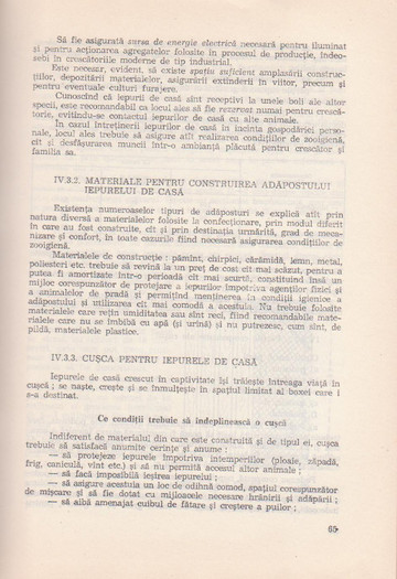 p141 081 - IEPURELE DE CASA - CRESTERE SI VALORIFICARE