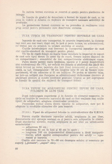 p141 096 - IEPURELE DE CASA - CRESTERE SI VALORIFICARE