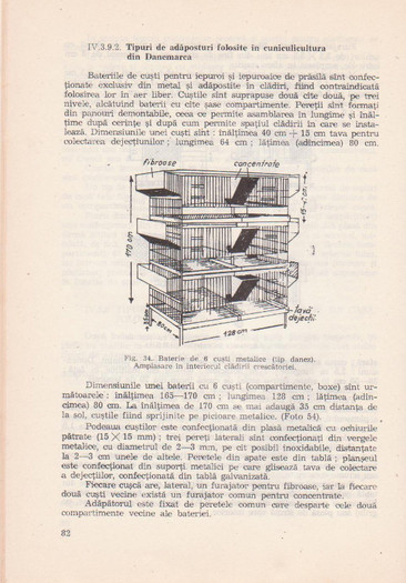p141 098 - IEPURELE DE CASA - CRESTERE SI VALORIFICARE