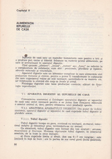 p141 102 - IEPURELE DE CASA - CRESTERE SI VALORIFICARE