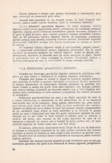 p141 104 - IEPURELE DE CASA - CRESTERE SI VALORIFICARE