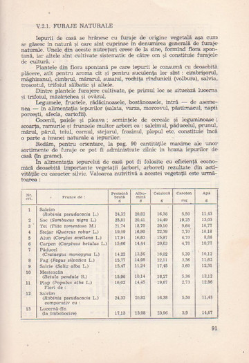 p141 107 - IEPURELE DE CASA - CRESTERE SI VALORIFICARE