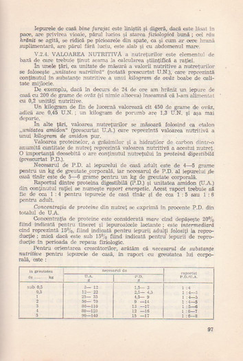 p141 113 - IEPURELE DE CASA - CRESTERE SI VALORIFICARE