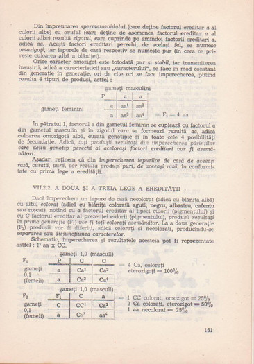 p141 167 - IEPURELE DE CASA - CRESTERE SI VALORIFICARE