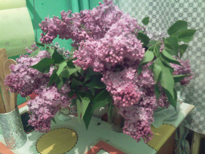 liliac in aprilie - Flori dragi 2012