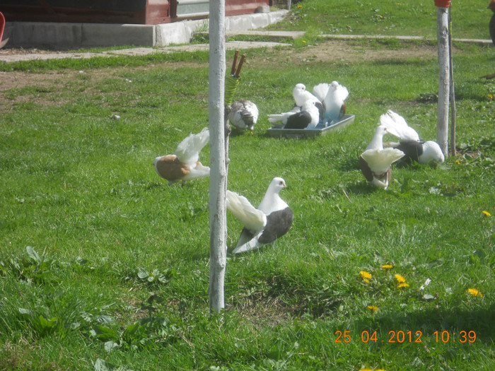 DSCN9165