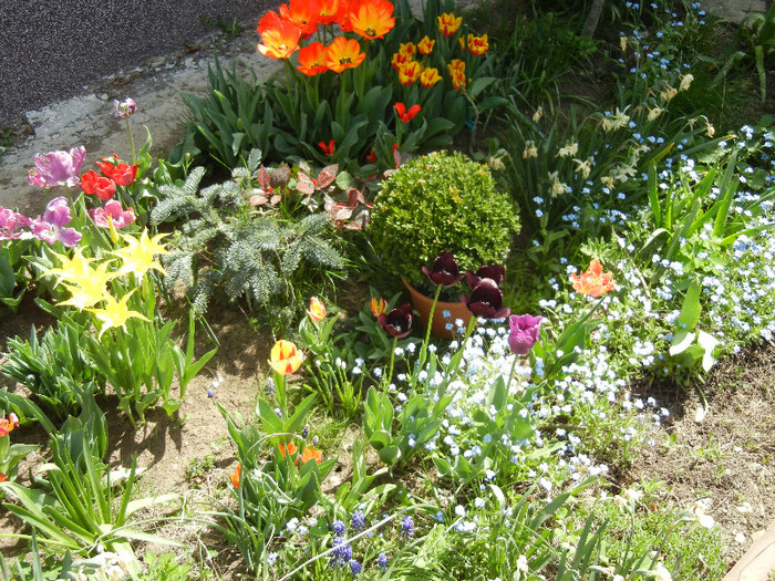 2012, April 25