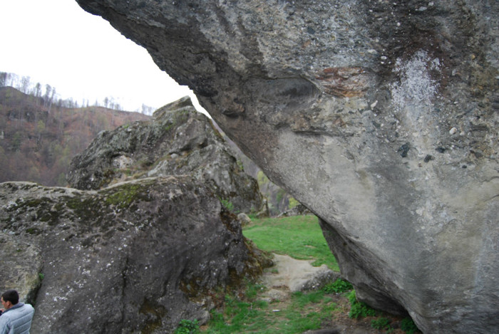DSC_1333